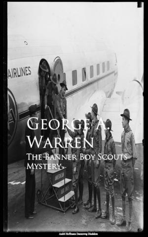 Cover of the book The Banner Boy Scouts Mystery by George Barr McCutcheon