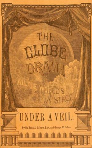 Cover of the book Under a Veil by Anonymous
