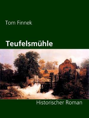 Cover of the book Teufelsmühle by Thomas Skirde