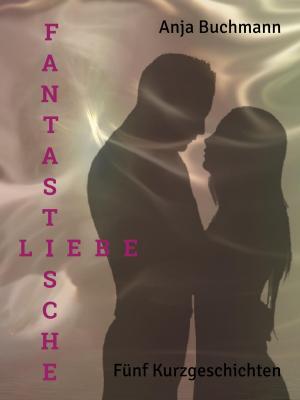 Cover of the book Fantastische Liebe by Heidi Grun, Martin Welzel