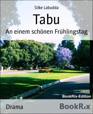 Cover of the book Tabu by Godspower Elishason
