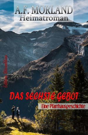 Cover of the book Das sechste Gebot by samoht de jong