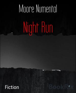 Cover of the book Night Run by Mona Lida