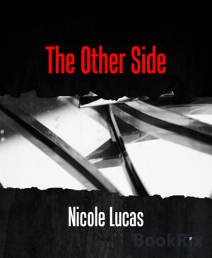 Cover of the book The Other Side by Frank Michael Jork