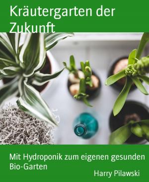 Cover of the book Kräutergarten der Zukunft by Angelika Nylone