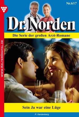 Cover of the book Dr. Norden 617 – Arztroman by Britta Winckler
