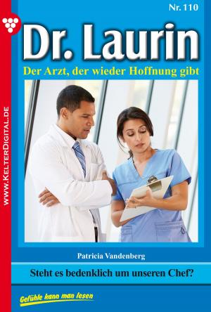bigCover of the book Dr. Laurin 110 – Arztroman by 