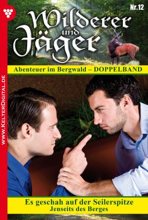 Book cover of Wilderer und Jäger 12 – Heimatroman