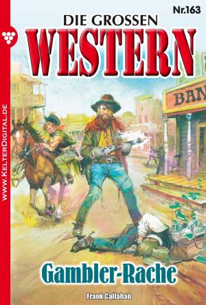 Cover of the book Die großen Western 163 by Patricia Vandenberg