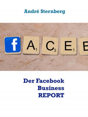 Cover of the book Der Facebook Business REPORT by Karl-Heinz Knacksterdt