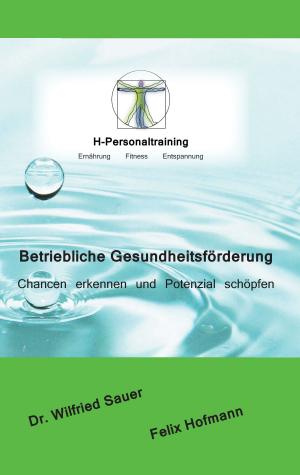Cover of the book Betriebliche Gesundheitsförderung by Wilfried Rabe