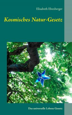 Cover of the book Kosmisches Natur-Gesetz by Harry Eilenstein