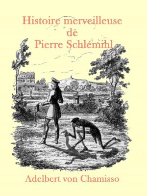 Cover of the book Histoire merveilleuse de Pierre Schlémihl by Tina Olesen
