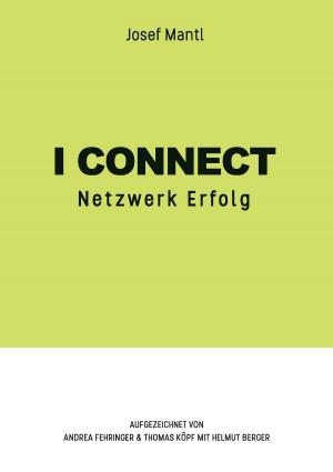 Cover of the book I connect by Niels Brabandt