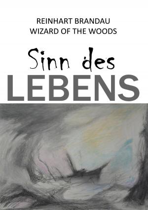 Book cover of Sinn des Lebens