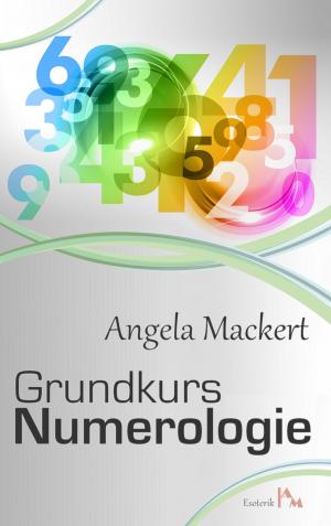 Cover of the book Grundkurs Numerologie by Stephanie Guttmann