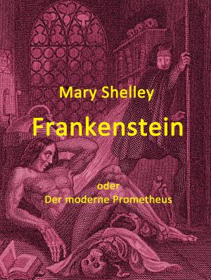 Cover of the book Frankenstein by Stefan Blankertz