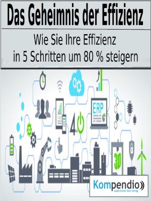 Cover of the book Das Geheimnis der Effizienz by Bernd Michael Grosch