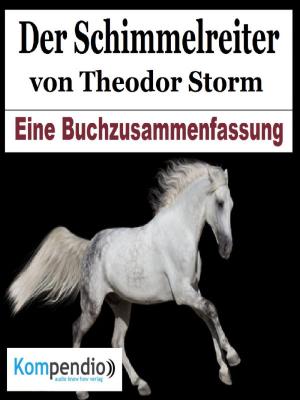 Cover of the book Der Schimmelreiter von Theodor Storm by Andrea Celik