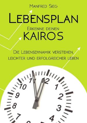 Cover of the book Lebensplan – Erkenne deinen KAIROS by Matthias Wagner