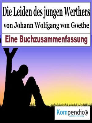 Cover of the book Die Leiden des jungen Werther von Johann Wolfgang von Goethe by Dr. Michael Roscher