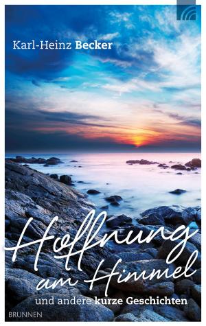 Cover of Hoffnung am Himmel
