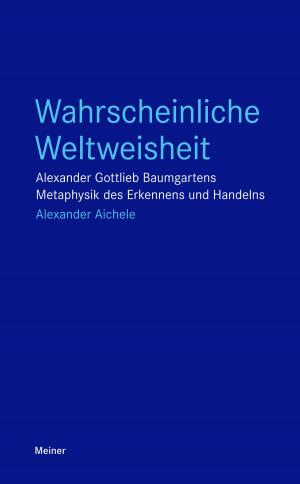 Cover of the book Wahrscheinliche Weltweisheit by Reinhard Brandt