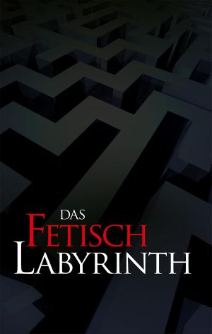 Book cover of Das Fetischlabyrinth