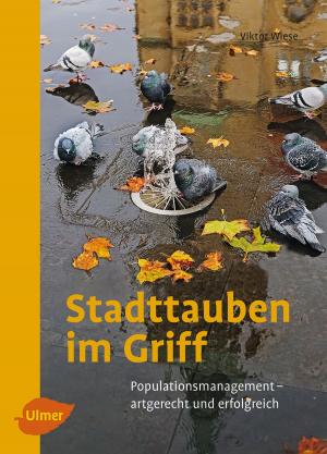 Cover of the book Stadttauben im Griff by Corinna Lenz, Christiane Schnepper