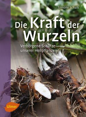 Cover of the book Die Kraft der Wurzeln by Simone Specht
