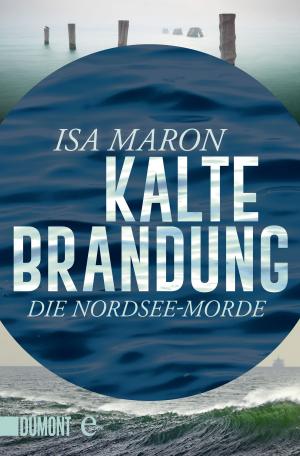 Book cover of Kalte Brandung