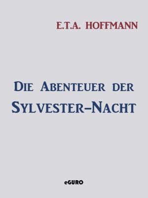 Book cover of Die Abenteuer der Sylvester-Nacht