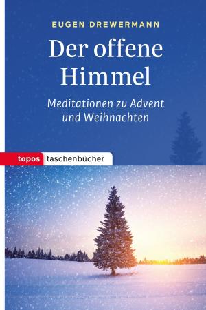 Book cover of Der offene Himmel