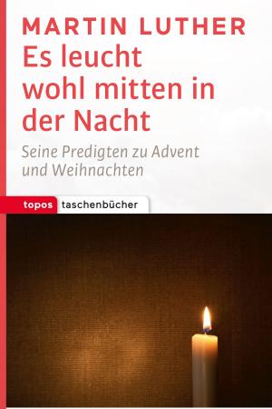 Cover of the book Es leucht wohl mitten in der Nacht by Christian Feldmann, Josef Holtkotte