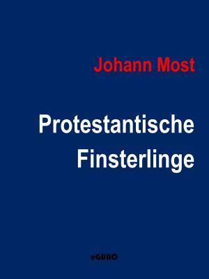 Book cover of Protestantische Finsterlinge