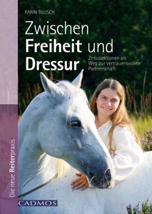 Cover of the book Zwischen Freiheit und Dressur by Christine Weidenweber