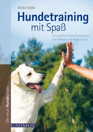 Cover of the book Hundetraining mit Spaß by Dr. Christina Fritz