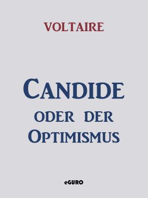 Book cover of Candide oder der Optimismus
