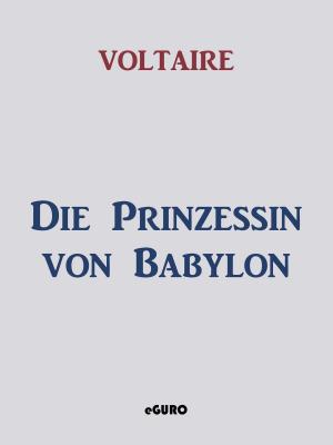 Cover of the book Die Prinzessin von Babylon by Martin Rauschert