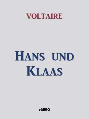 Cover of the book Hans und Klaas by Stefanie Fischer Fernández