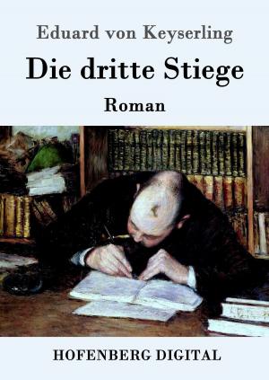 Book cover of Die dritte Stiege
