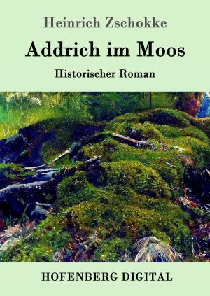Cover of the book Addrich im Moos by Sophie von La Roche