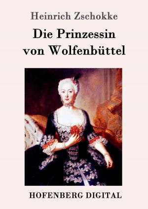 Cover of the book Die Prinzessin von Wolfenbüttel by Fjodor M. Dostojewski