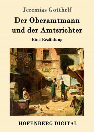 Book cover of Der Oberamtmann und der Amtsrichter