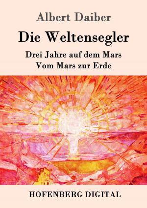 Cover of the book Die Weltensegler by Theodor Storm