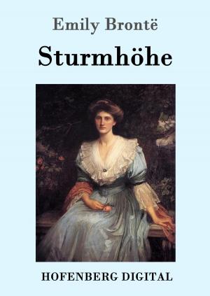 Cover of the book Sturmhöhe by Prosper Mérimée