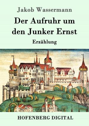 Cover of the book Der Aufruhr um den Junker Ernst by Oskar Panizza