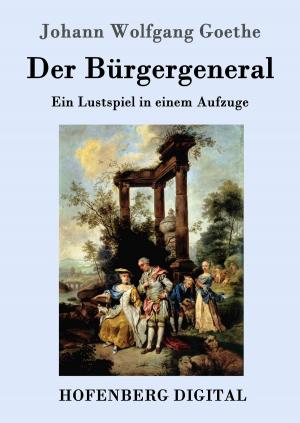Cover of the book Der Bürgergeneral by Nathaniel Hawthorne