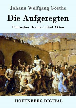 Cover of the book Die Aufgeregten by Richard Wagner