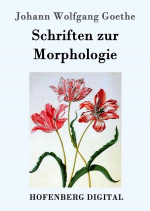 Cover of the book Schriften zur Morphologie by Felix Dahn